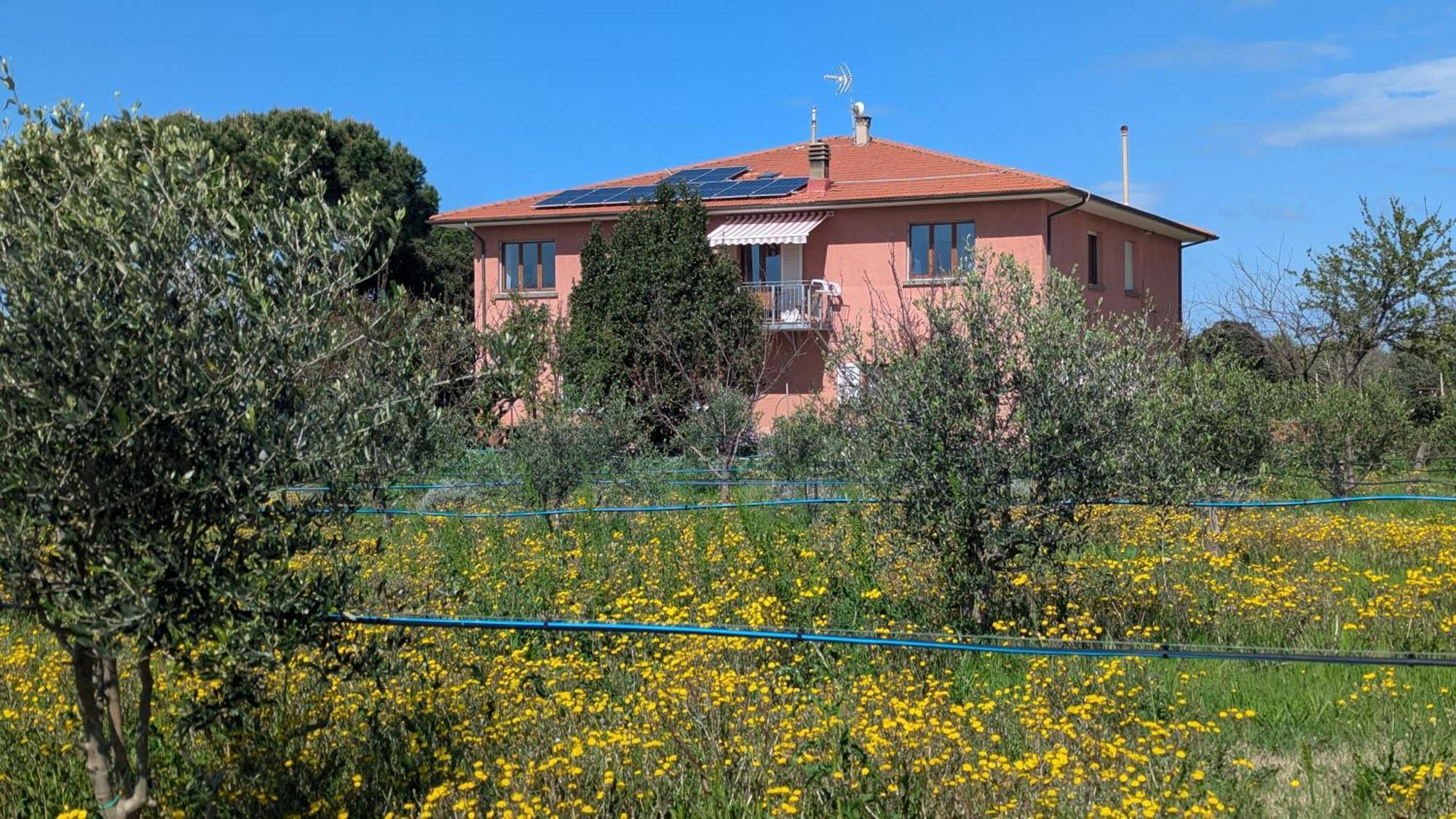 Casa Rurale San Vincenzo Ngoại thất bức ảnh